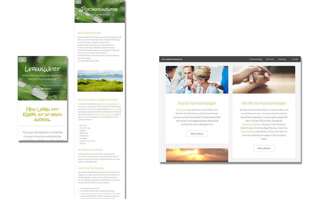 Endergebnis – Responsive Websites für Selbständige